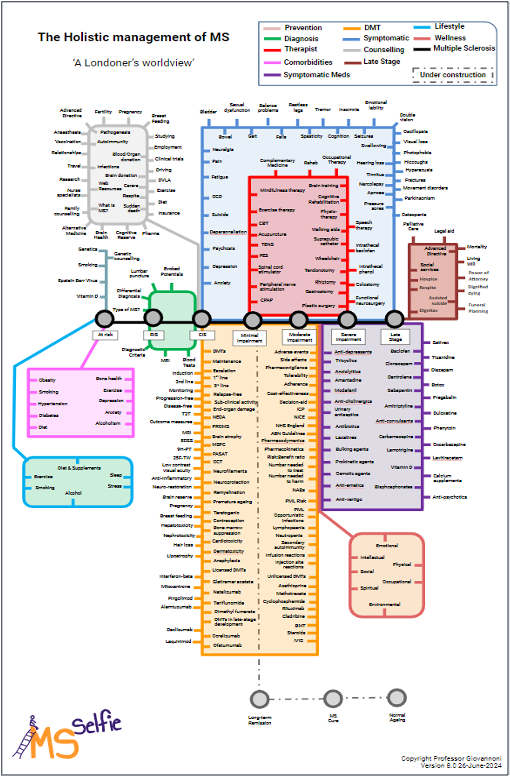 FIGURE 2. The Holistic Management of MS: A Londoner's View